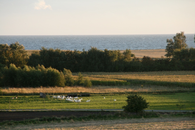 Udsigt over marker og hav på Sejerø
